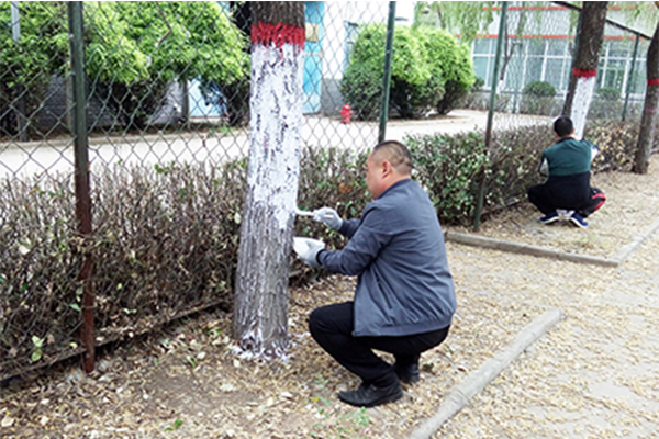 科海集團(tuán)“美化環(huán)境保護(hù)樹木”活動(dòng)紀(jì)實(shí) 科海集團(tuán)“美化環(huán)境保護(hù)樹木”活動(dòng)紀(jì)實(shí)